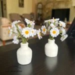 گل بابونه مینیاتوری - Image 3