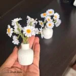 گل بابونه مینیاتوری - Image 2