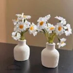 گل بابونه مینیاتوری