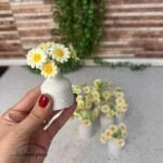 گل بابونه مینیاتوری