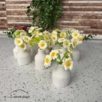 گل بابونه مینیاتوری - تصویر 2